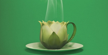 广告中仿生形态的运用！