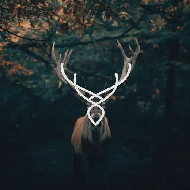 国产AV麻豆MAG剧集