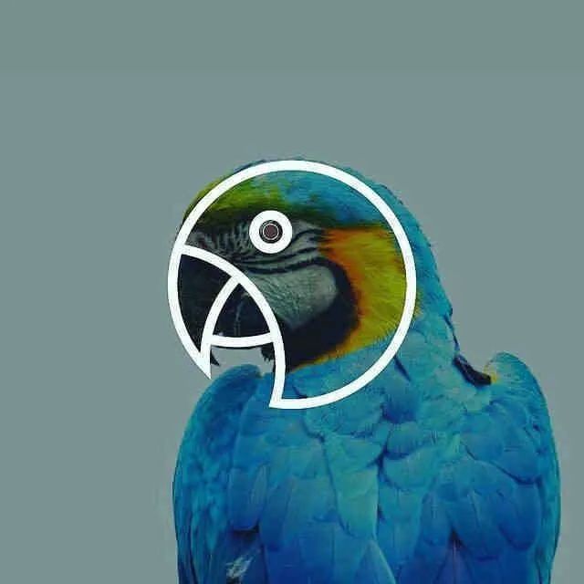 国产AV麻豆MAG剧集