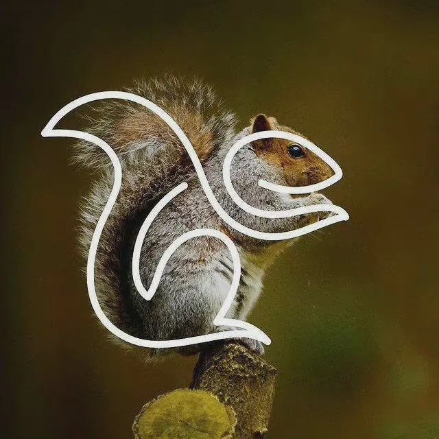 国产AV麻豆MAG剧集