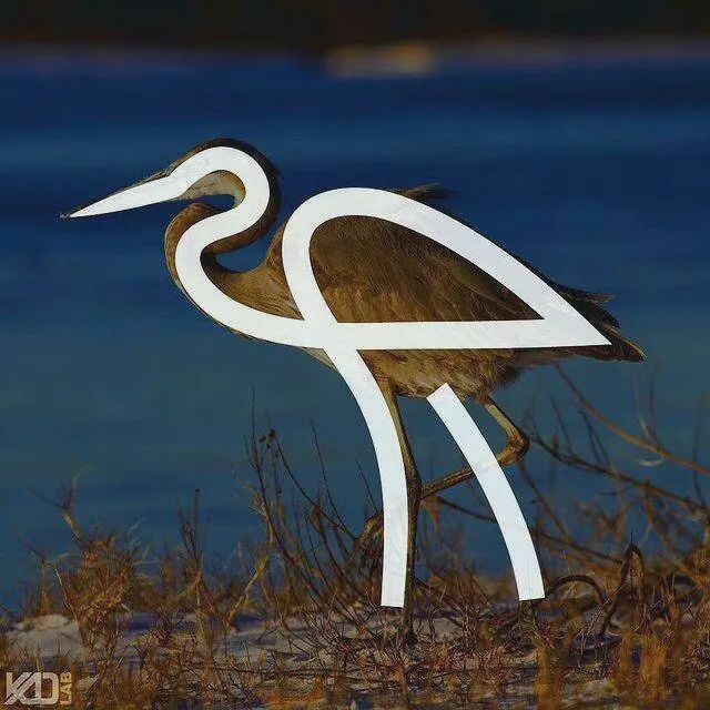 国产AV麻豆MAG剧集