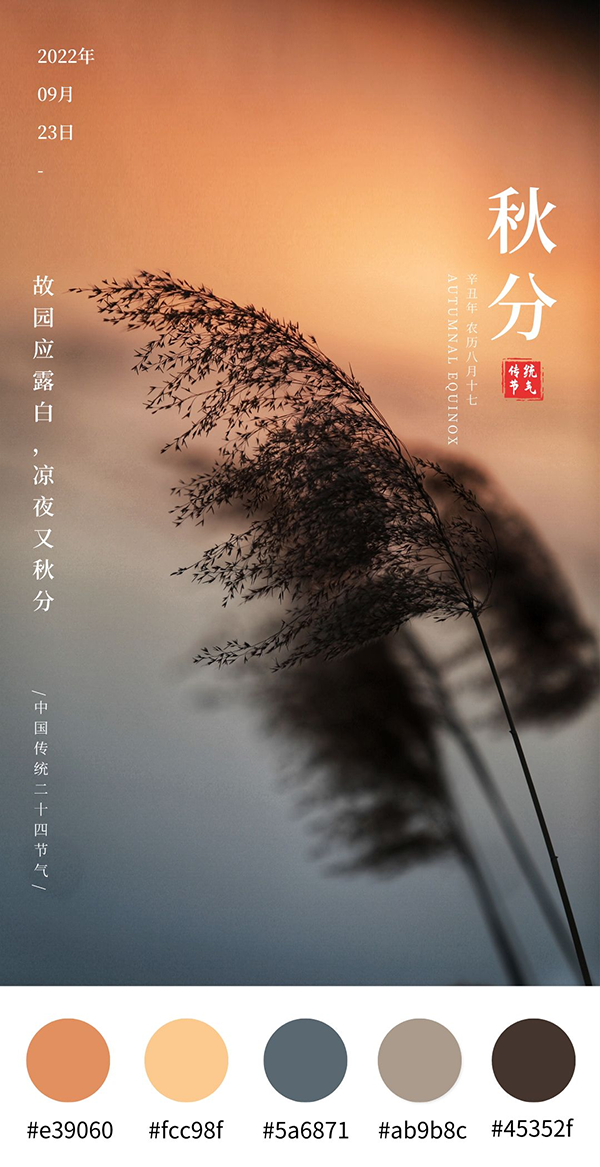 国产AV麻豆MAG剧集