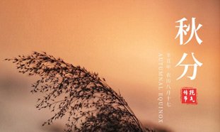广告界不能错过的节日&mdash;&mdash;秋分海报设计