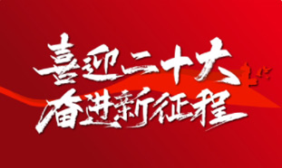 党的二十大金句海报